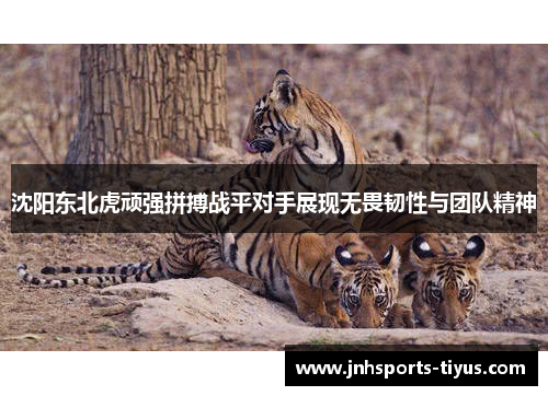 沈阳东北虎顽强拼搏战平对手展现无畏韧性与团队精神