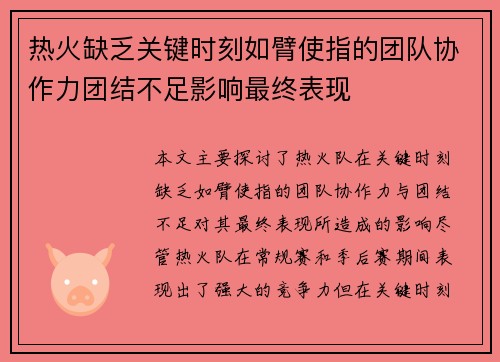 热火缺乏关键时刻如臂使指的团队协作力团结不足影响最终表现
