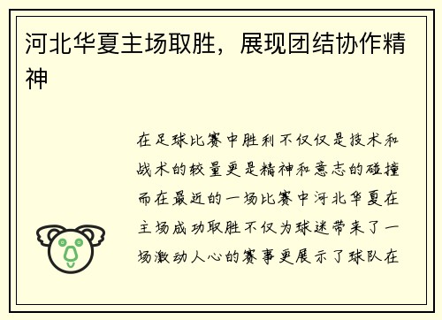 河北华夏主场取胜，展现团结协作精神