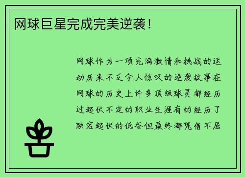 网球巨星完成完美逆袭！